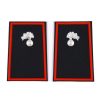 Gradi tubolari carabinieri Carabiniere Scelto