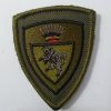 Scudetto Brigata Taurinense Bassa Visibilita