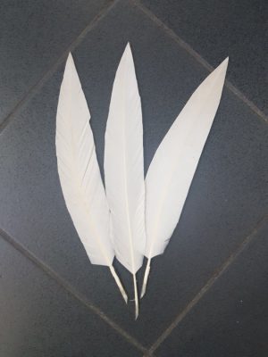 Penna d'aquila flex per cappello alpino  bianca