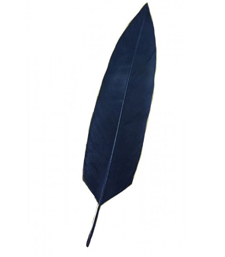 Penna d'aquila flex per cappello alpino nera