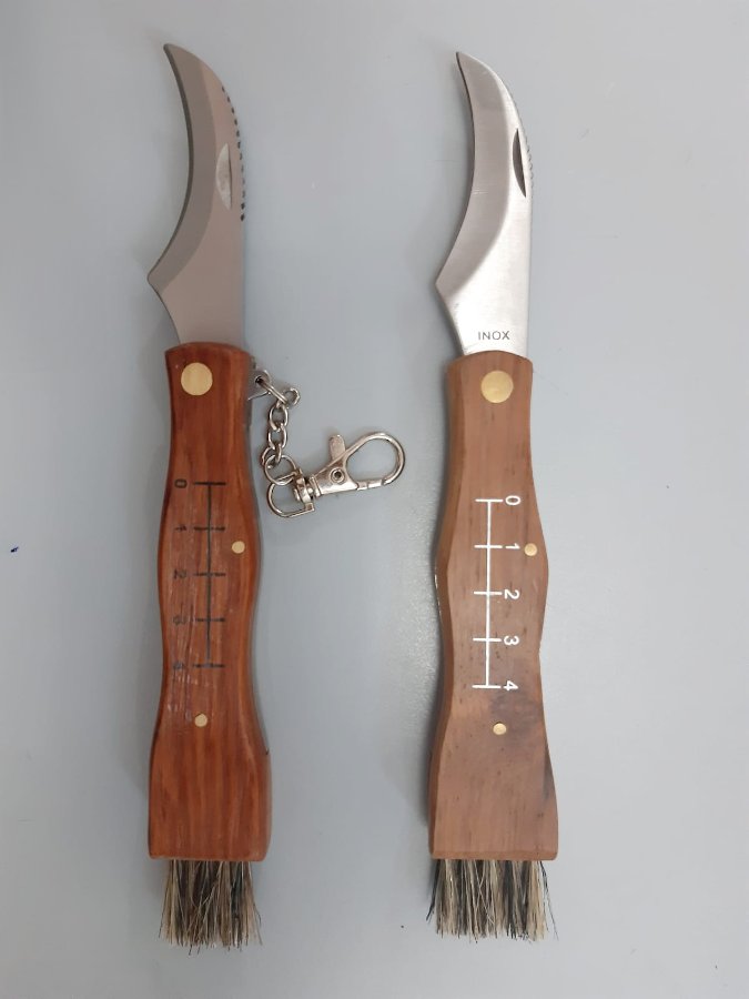Coltello pieghevole da funghi