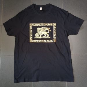 T-shirt Veneta - Leone di San Marco con libro