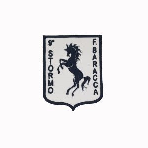 Patch ricamata 51° Stormo