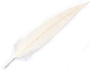 Penna bianca per cappello alpino