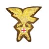 Fregio Medico Alpino Ricamato a Mano in Canuttiglia